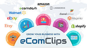 Unlock Your Potential With Ecommerce Service Provider In Delhi